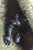 Trends International Venom-Shadows Clip Bundle Wall Poster, 22.375" x 34"