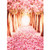 MOHOO 5x7ft Silk Photography Backdrop Cherry Blossoms Street Studio Photography Backdrop Photo Background Beautiful Flower 1.5x2.1m (Updated Material)