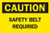 Brady 84561 Self Sticking Polyester, 10" X 14" Caution Sign Legend "Safety Belt Required"