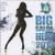 Big Salsa Hits 2013 / Various