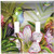 Art Plates - Hummingbird at Rest Switch Plate - Double Toggle