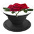 Cute Single Red Rose Buds Flower So Pretty Stem On White - PopSockets Grip and Stand for Phones and Tablets
