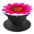 Hot Pink Gerber Daisy Flower Petal Bloom Cellphone Nob White - PopSockets Grip and Stand for Phones and Tablets