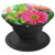 Gerber Daisy Blossom Flower Phone Grip And Accessories - PopSockets Grip and Stand for Phones and Tablets
