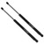 2 Pcs Rear Window Glass Lift Supports Struts Gas Springs Shocks for Ford Escape 2001-2007, Mercury Mariner 2005-2007 SG304045 4369