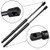 ECCPP 2pcs Rear Liftgate Tailgate Lift Supports Struts Shocks Gas Springs for 2002-2007 Saturn Vue