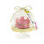 Talking Tables Truly Alice Mad Hatter Cake Domes for a Tea Party or Wedding, Multicolor (12 Pack)