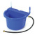 LITTLE GIANT FW16BLUE FW16 Blue Automatic Waterer