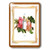3dRose lsp_80320_1 Victorian Framed Roses Single Toggle Switch