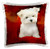 3dRose pc_4219_1 Maltese Puppy-Pillow Case, 16 by 16"