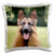 3dRose pc_4434_1 German Shepherd-Pillow Case, 16 by 16"