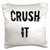 3dRose Crush It-Pillow Case, 16 by 16" (pc_180122_1)