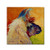 Llama II by Marion Rose, 18x18-Inch Canvas Wall Art