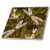 3dRose ct_31624_2 Dragonflies Graphic Design Ceramic Tile, 6-Inch