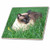 3dRose ct_4496_3 Siamese Cat Ceramic Tile, 8-Inch