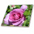 3dRose ct_25136_4 Pink Rose III-Ceramic Tile, 12-Inch