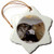 3dRose orn_88184_1 California, La Jolla, Harbor Seals US05 BJA0169 Jayne's Gallery Snowflake Porcelain Ornament, 3-Inch