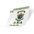 Desert Cactus Lambda Chi Alpha Crest & Letter 2-Pack Sticker Decal Greek for Window Laptop Computer Car (Crest Sticker)