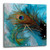 3dRose dpp_60467_1 Abstract Peacock Feather Ii Wall Clock, 10 by 10-Inch
