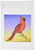 3dRose fl_25558_1 Birds Red Cardinal 3 on Gradient Garden Flag, 12 by 18-Inch