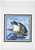 3dRose fl_41415_1 Smile of a Dolphin Garden Flag, 12 by 18-Inch