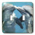 3dRose LLC lsp_8608_2 Dolphin Play, Double Toggle Switch
