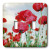 3dRose LLC lsp_21398_2 Wild Flowers Corn Poppies, Double Toggle Switch