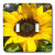 3dRose LLC lsp_22705_2 Sunflower Ii, Double Toggle Switch
