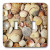 3dRose LLC lsp_23816_2 Sea Shells Double Toggle Switch
