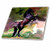 3dRose ct_3348_2 Black Horse Ceramic Tile, 6-Inch