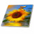 3dRose ct_9151_2 Sunflower-Ceramic Tile, 6-Inch