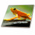 3dRose ct_10374_2 Orange Tree Frog Walking Ceramic Tile, 6-Inch