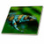 3dRose ct_10382_3 Blue N Brown Tree Frog on A Leaf Ceramic Tile, 8"
