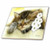 3dRose ct_15736_2 Cat Q-Ceramic Tile, 6-Inch