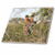 3dRose ct_20121_2 South African Giraffe Head Face in The Trees Ceramic Tile, 6-Inch