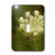 3dRose LLC lsp_10931_1 Queen Annes Lace By Angelandspot, Single Toggle Switch