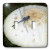 3dRose lsp_19159_2 Blue Dragonfly On Mushroom Double Toggle Switch