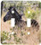 3dRose LLC lsp_20131_2 South African Zebra in The Grass Double Toggle Switch