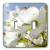3dRose lsp_22959_2 Dogwood Flowers Iii Double Toggle Switch
