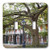 3dRose lsp_44930_2 Historic New Orleans Double Toggle Switch
