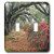 3dRose lsp_56086_2 Moss Covered Trees In Charleston Garden South Carolina Double Toggle Switch