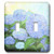 3dRose lsp_59780_2""Painting Of Periwinkle Blue Hydrangeas" Double Toggle Switch,