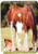 3dRose lsp_80253_1 Clydesdale Mare And Foal horses Single Toggle Switch
