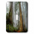 3dRose LSP_80845_1"Mist in The Forest Single Toggle Switch