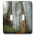 3dRose lsp_80845_2"Mist In The Forest" Double Toggle Switch