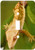 3dRose lsp_84105_1 New Caledonian Crested Gecko Lizard Na02 Mpr0086 Maresa Pryor Single Toggle Switch