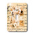 3dRose LLC 3dRose LLC lsp_100951_1 Vintage Paris Collage - Single Toggle Switch