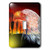 3dRose lsp_101123_1"Eagle Cactus - Protector 0F The Desert" Single Toggle Switch Multicolor