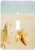 3dRose LLC 3dRose LLC lsp_123181_1 Beach n Seashell Impressions - Single Toggle Switch