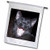 3dRose fl_6026_1 Black Cat Yawning, Garden Flag, 12 by 18-Inch 3dRose fl_6026_1 Black Cat Yawning, Garden Flag, 12 by 18-Inch